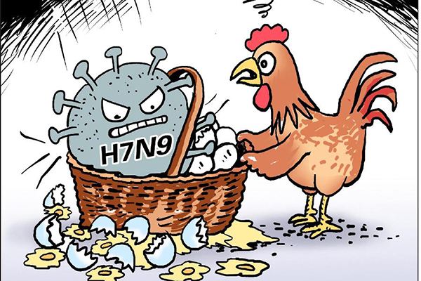 h9n7禽流感最新消息_h9n7禽流感癥狀