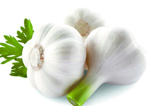 壯陽必吃三大菜