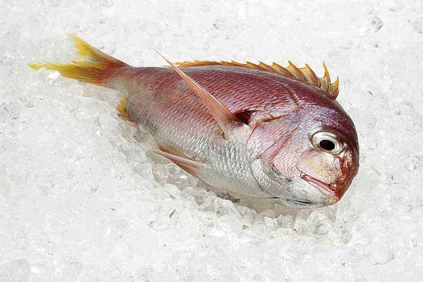 銅盆魚的做法