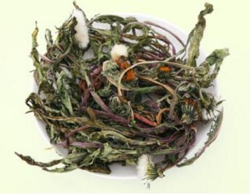 蒲公英花茶有什麼作用