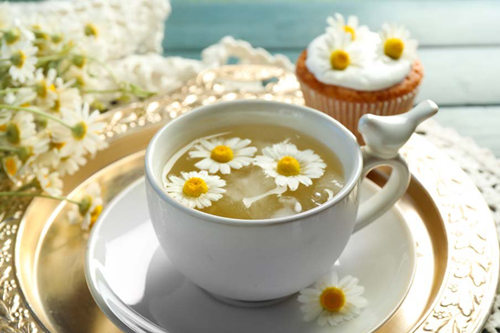 菊花清火茶