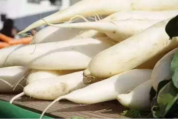 冬吃蘿卜有科學的道理嗎