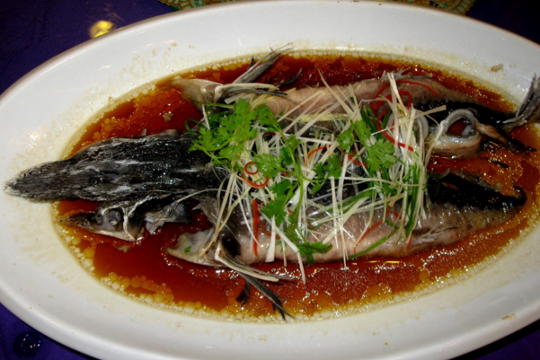 中華鱘魚的做法 怎麼做好吃？