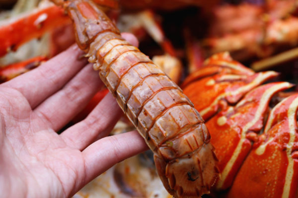 皮皮蝦怎麼做好吃 皮皮蝦怎麼剝