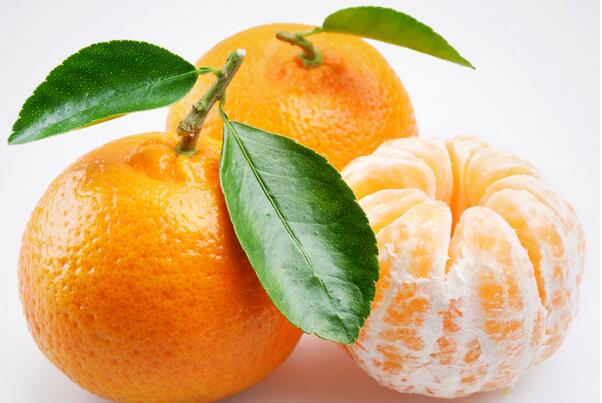 橘子的功效與作用有哪些？專傢說：橘子全身都是寶