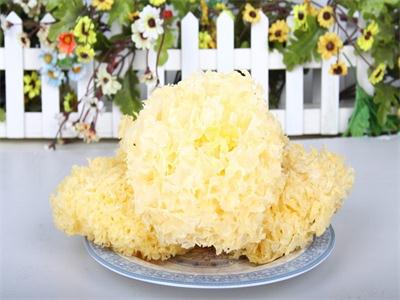 祛斑