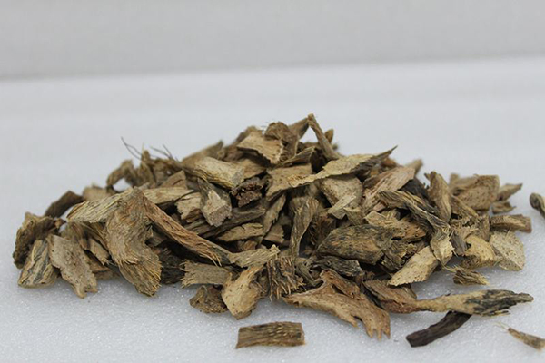 千年健是什麼？千年健的功效與作用