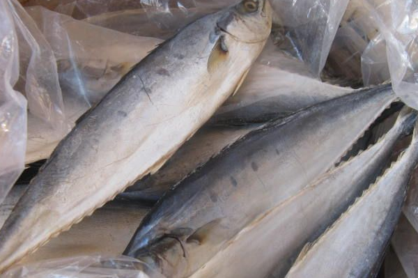 馬鮫魚的營養價值,馬鮫魚的做法,馬鮫魚的功效與作用
