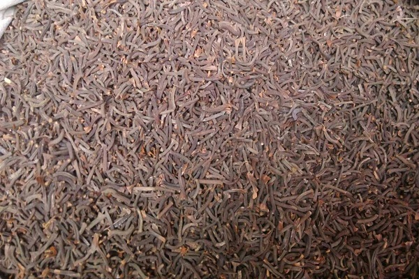 桂丁_桂丁的功效_桂丁的作用 桂丁的功效的作用