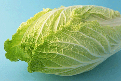 夏季減肥食物