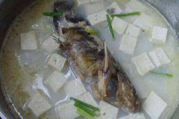 紅燒嘎魚_嘎魚燉豆腐_嘎魚的營養價值_嘎魚的做法