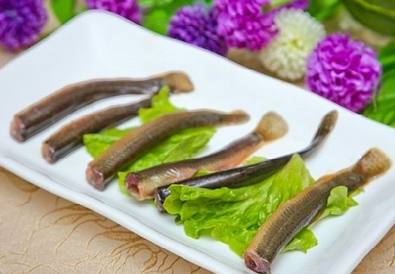 常食泥鰍有益腎助陽功效