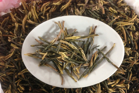 苦丁茶能減肥嗎_苦丁茶的功效