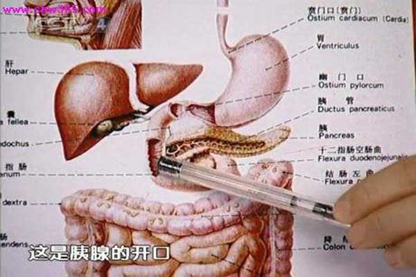 胰腺炎的癥狀及治療