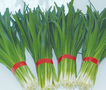 韭菜可以壯陽嗎