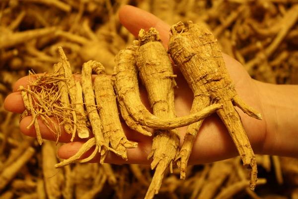 腎臟衰竭是怎麼回事？腎臟衰竭怎麼辦？