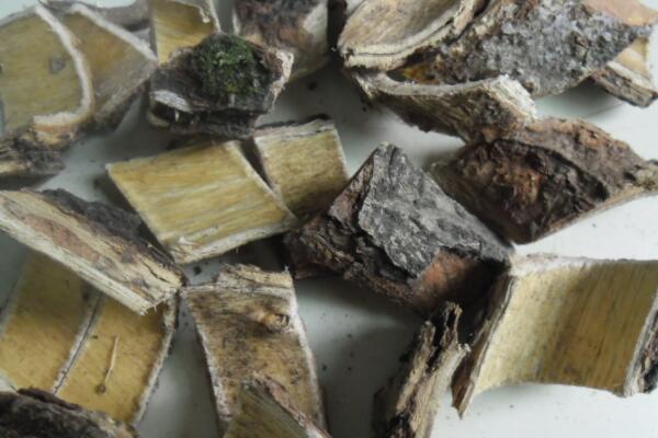合歡皮的功效與作用