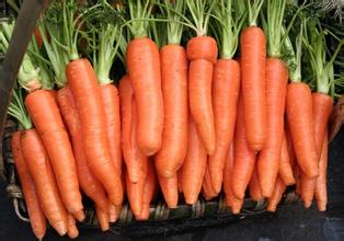 胡蘿卜可以增強免疫力