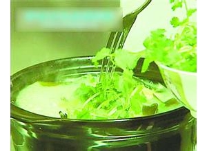香菜煮水能祛斑嗎