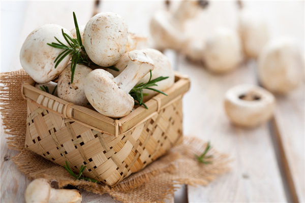 這7種蘑菇的營養價值驚人 可惜多數人竟然不會吃！