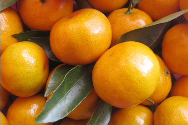 孕媽媽適當吃桔子寶寶肌膚更白皙