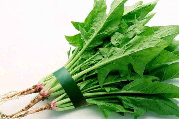 愛吃蔬菜但是草酸礙事怎麼辦