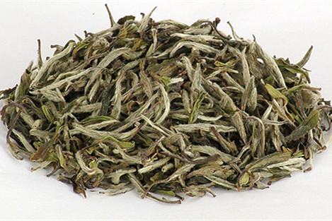 介紹兩種白牡丹茶的功效 介紹兩種白牡丹茶的功效