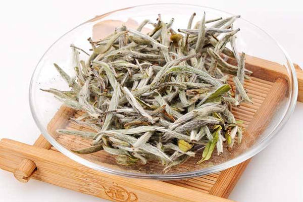 白茶利用得好 蟲草都自愧不如