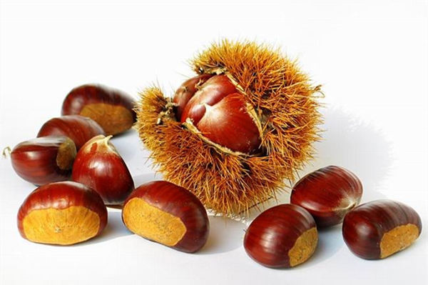 生吃它 你的腎臟問題再也不用愁 板栗