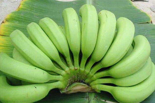 青皮香蕉