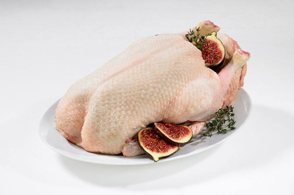 鴨子兩大食療方 補身不上火 鴨肉