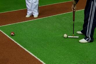 門球技巧 隻需五個字讓你打好門球