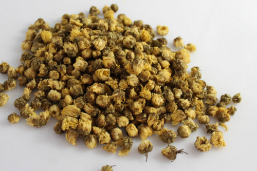 杭白菊功效與作用 有火去火,無火解渴