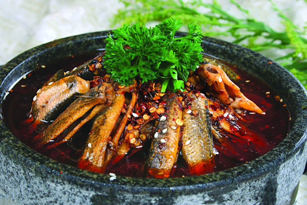 不說不知道 原來泥鰍還能補腎