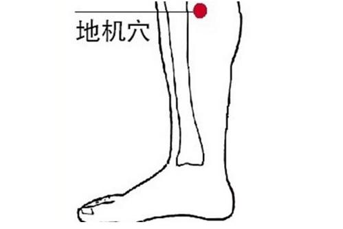 經絡瑜伽養生 常按地機穴讓子宮60也嬌嫩如初