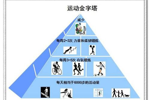你在運動金字塔的第幾層