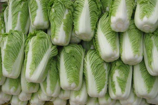 清淡食物有哪些_清淡食物怎麼做 白菜幫子