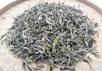 白茶如何保存