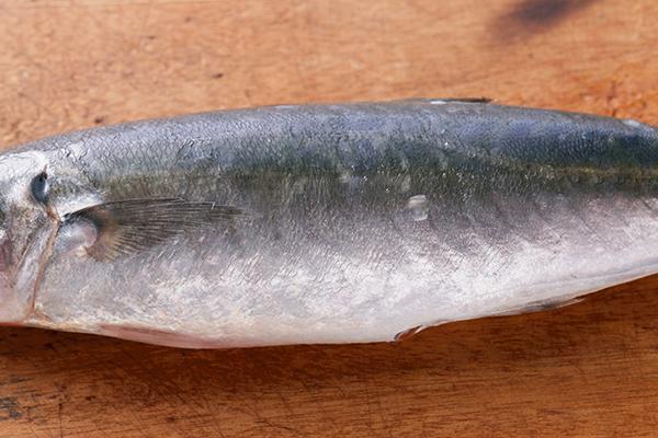 這五種肉有毒_有毒的肉類