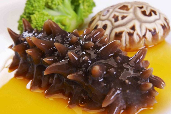 體質虛弱吃什麼_體質虛弱怎麼吃_吃什麼改善體質 海參