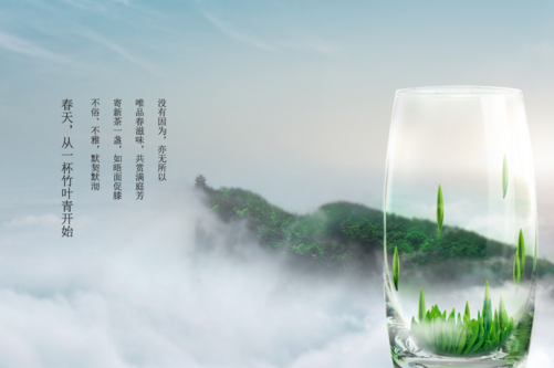 竹葉青茶功效 植物竹葉青助你走在養生前端
