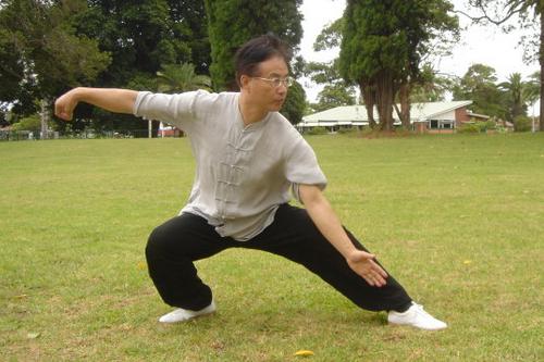養生太極拳 讓太極拳走進老年人的生活