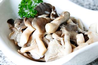 最適合減肥的蘑菇減肥套餐