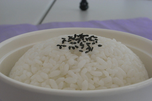吃白米飯真的會長胖嗎