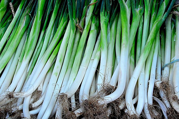 大蔥