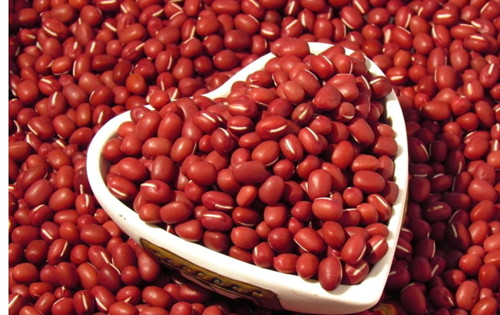 冬季吃豆子能減肥嗎