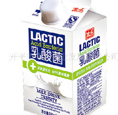 胃腸不好乳酸菌飲品如何喝_乳酸菌可以促進消化嗎