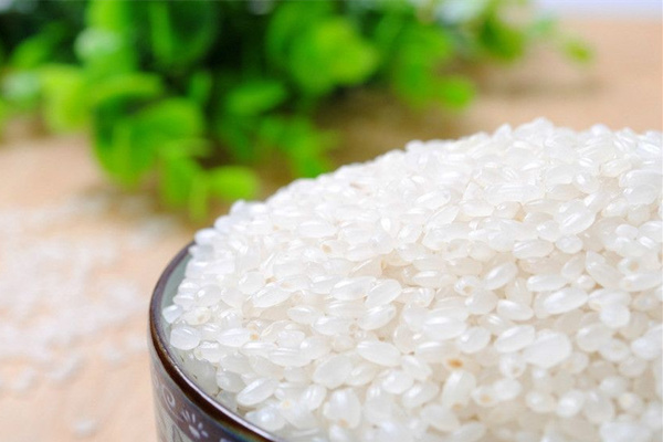 大米發黃還能吃嗎_大米怎麼吃 大米發黃