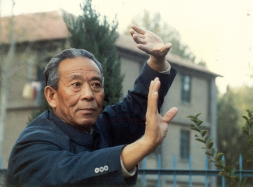 王培生內功心法太極拳 太極拳宗師巨著