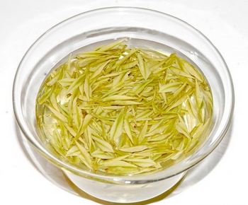 白茶和綠茶哪個好
